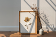 Wilde Flowers Herbarium Collection, an Object Graphic by Nova Studio (Thumbnail 7 of 9)