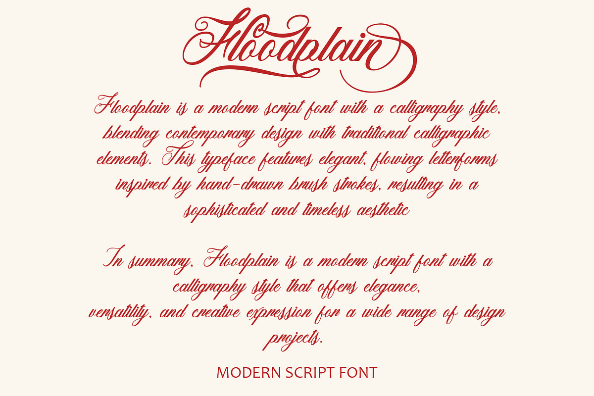 Floodplain - Modern Script Font, a Script Font by HeyFonts (Photo 4 of 10)