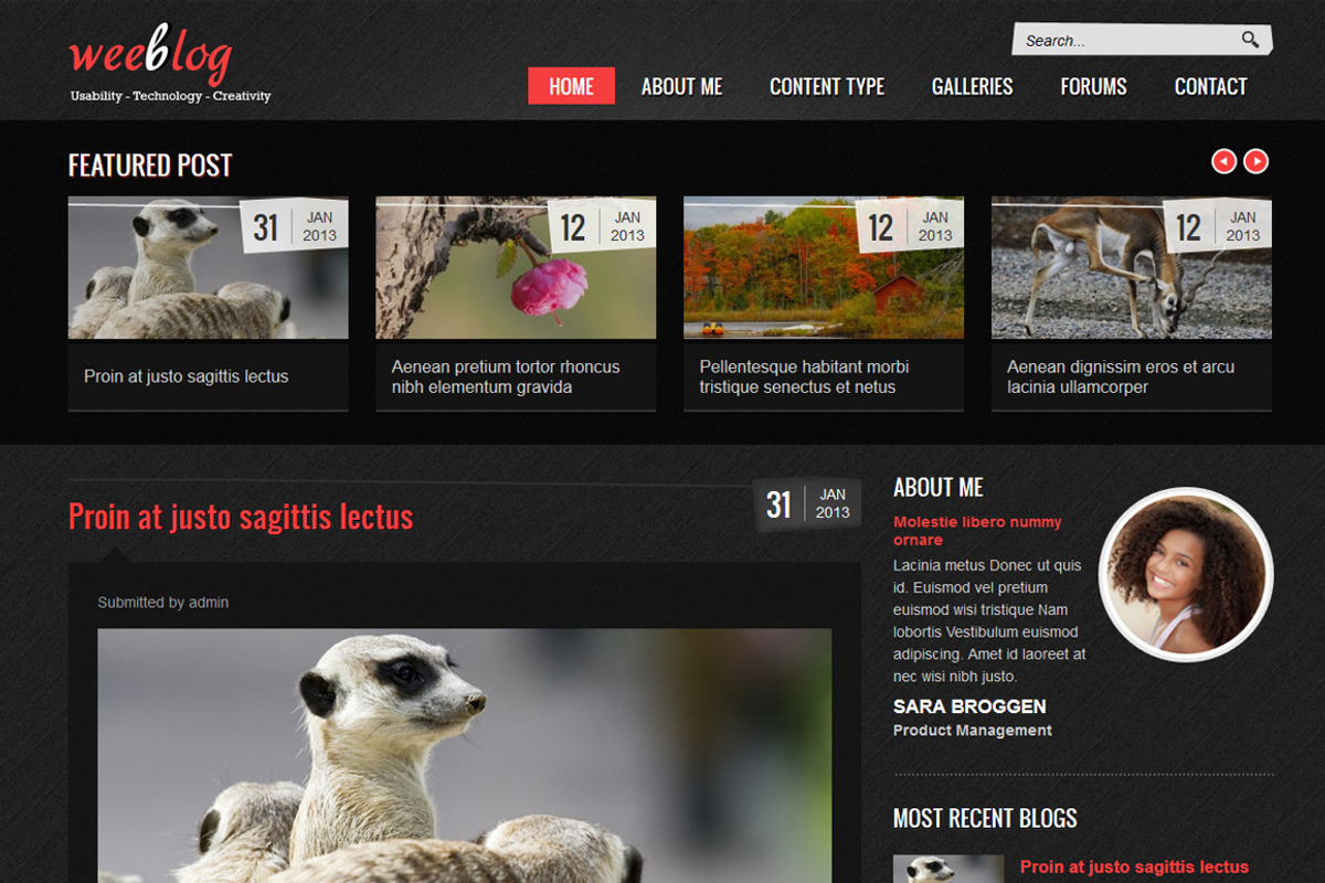 Personal Blog, a Websites & App Template by WeebPal Corp (Photo 1 of 5)