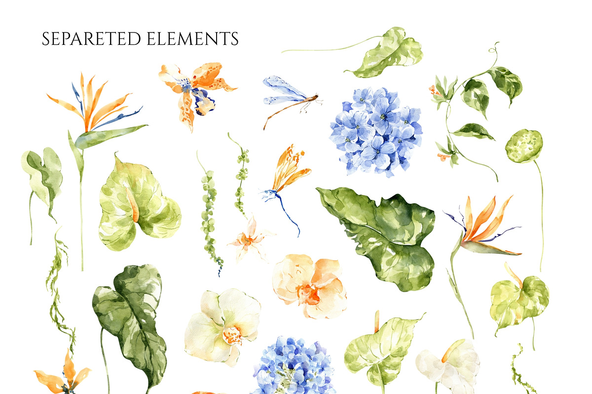 Elegant Wildness: Aesthetic Fine Art, a Decorative Illustration by ArtMaslyana (Photo 11 of 13)