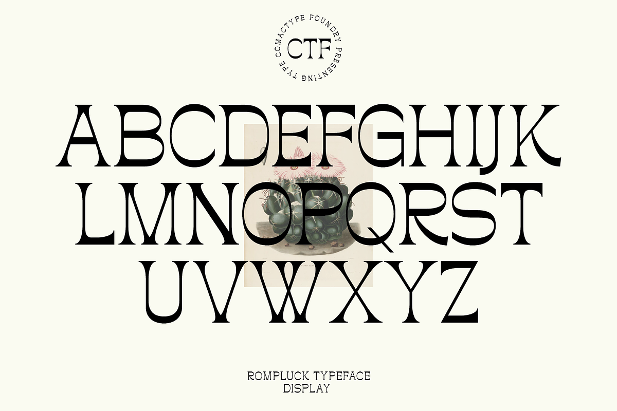 Rompluck - A Display Typeface, a Serif Font by Comactype Foundry (Photo 18 of 20)