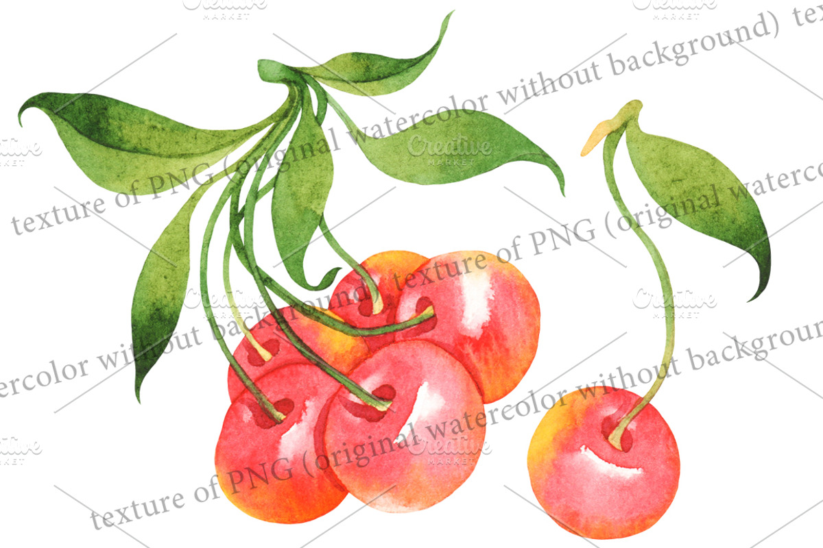 Summer fruits, a Food Illustration by Evgeniia Zagreeva (Photo 2 of 3)