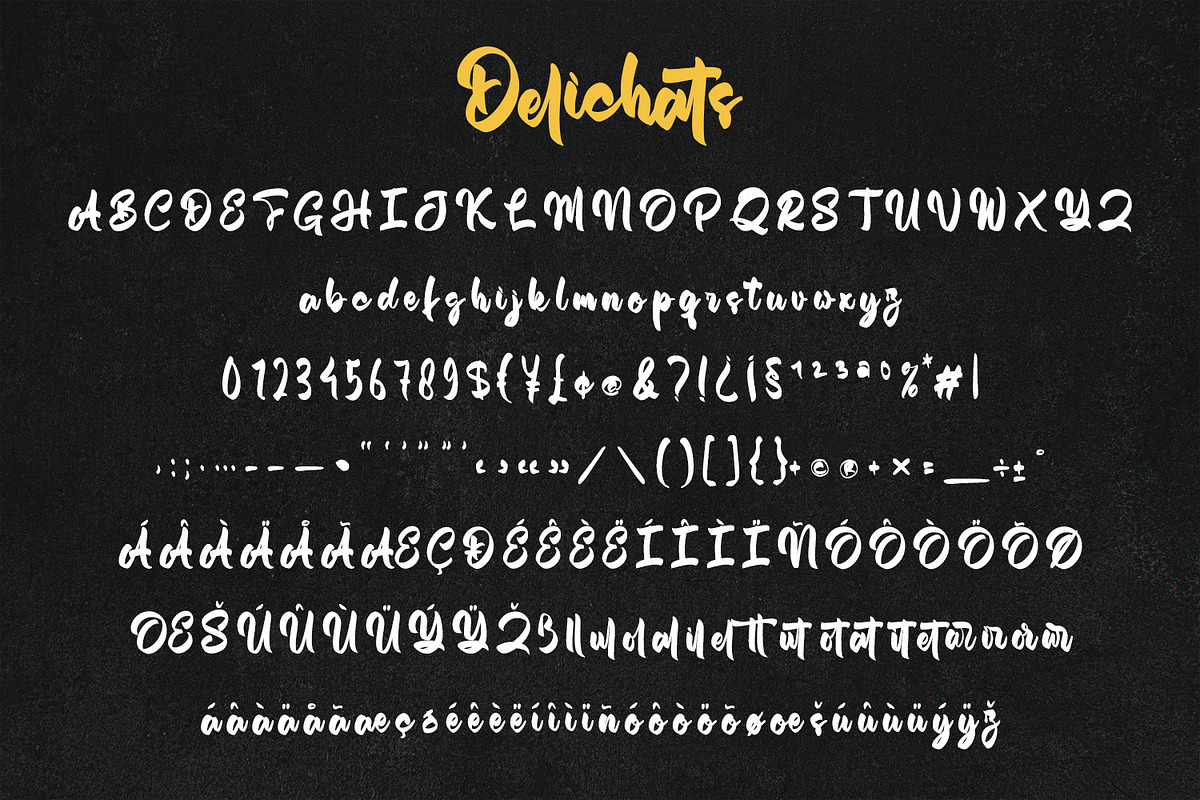 Delichatz - Bold Brush Script, a Script Font by Variatype (Photo 8 of 8)