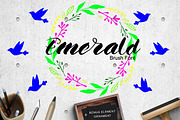 Emerald Brush Font, a Font by D'musketer Studio (Thumbnail 1 of 6)