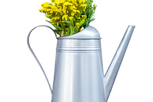 Watering-can with yellow wildflowers, a Nature Photo by BOOCYS