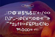 Mallesi Modern Sans, a Sans Serif Font by 160 Studio (Thumbnail 11 of 13)