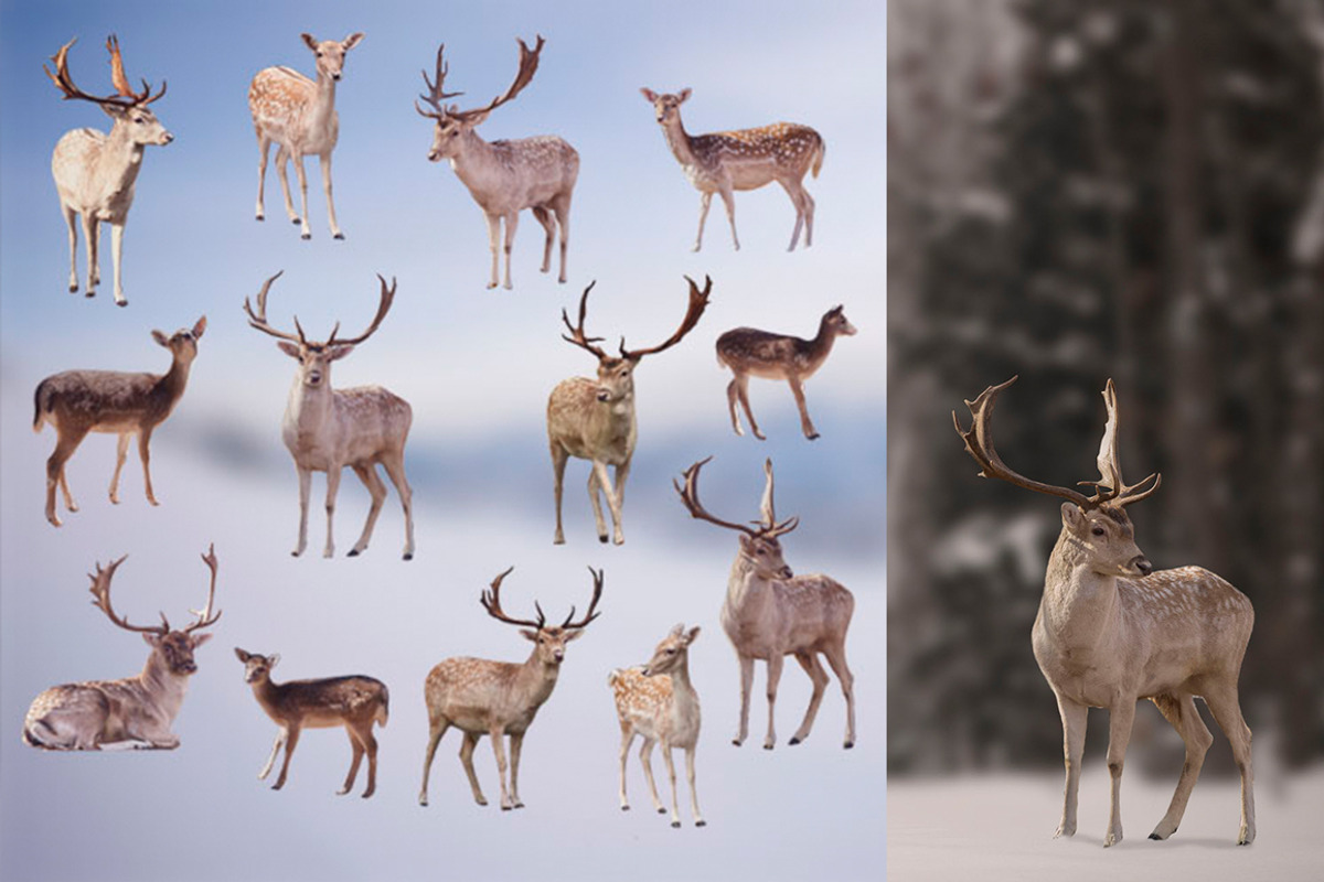 10 - Christmas Deer PNG Overlays, an Object Graphic by DareToDream (Photo 4 of 4)