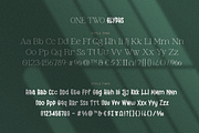 TwoOne, a Serif Font by FactoryType Studio (Thumbnail 12 of 14)