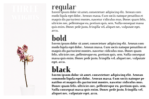 Farewell Angelina Display Serif Font