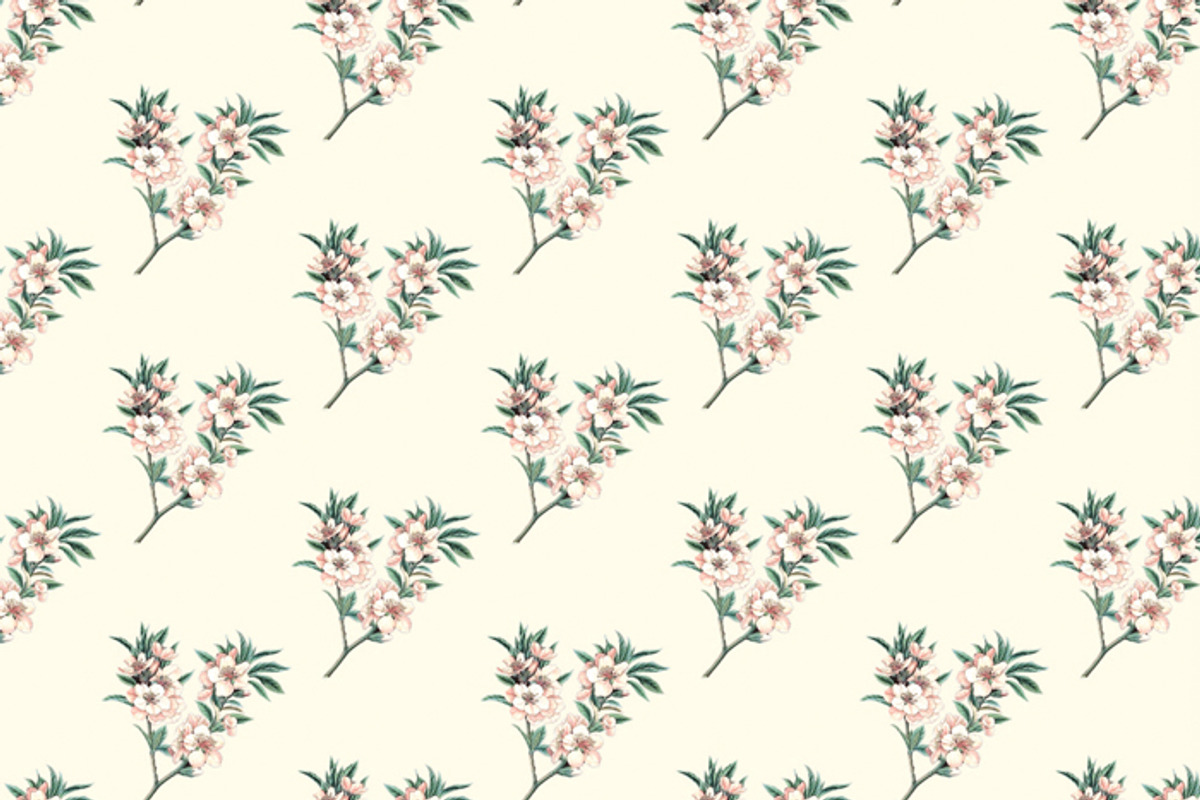 Botanical garden pattern - Almond, a Pattern Graphic by Klipa Illustrations (Photo 5 of 7)