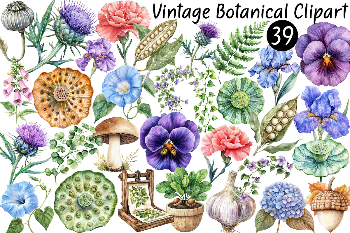 Watercolor Vintage Botanical Clipart, a Seasonal Illustration by CitraGraphics (Photo 1 of 9)