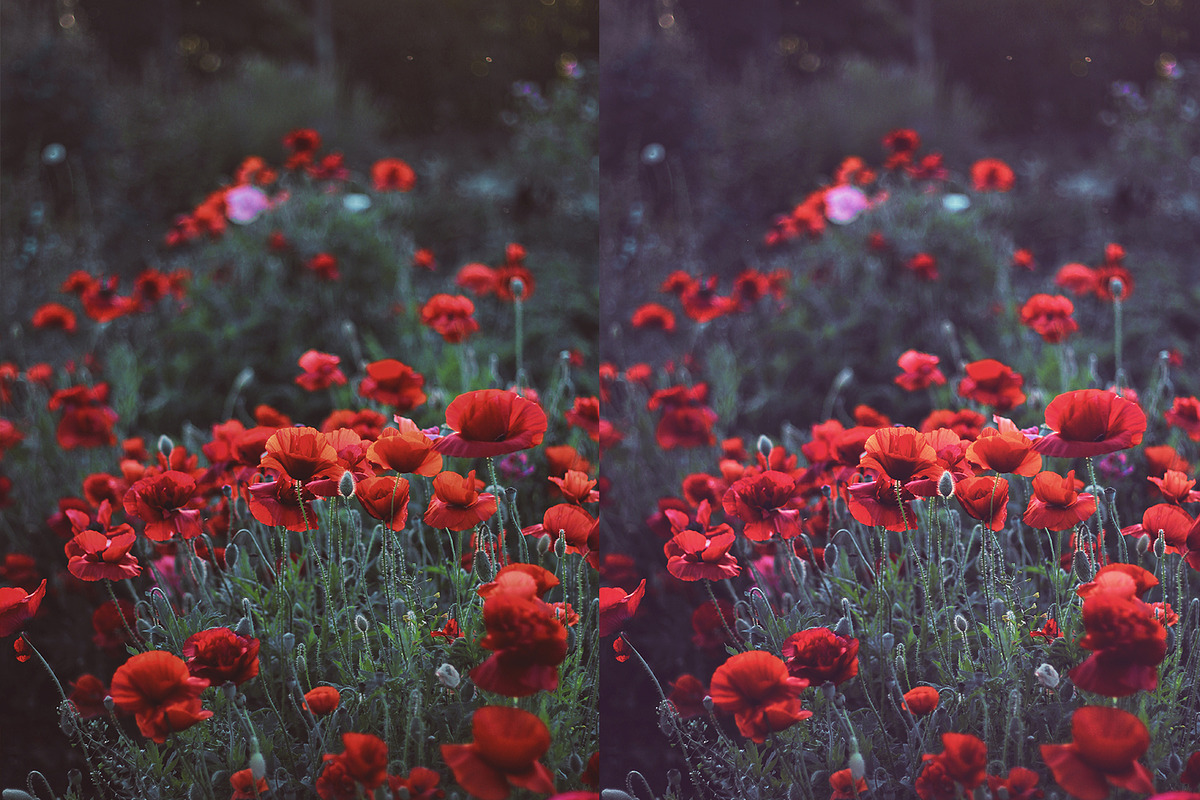 25 Nature Photoshop Actions, an Action Add-On by Bato (Photo 6 of 9)
