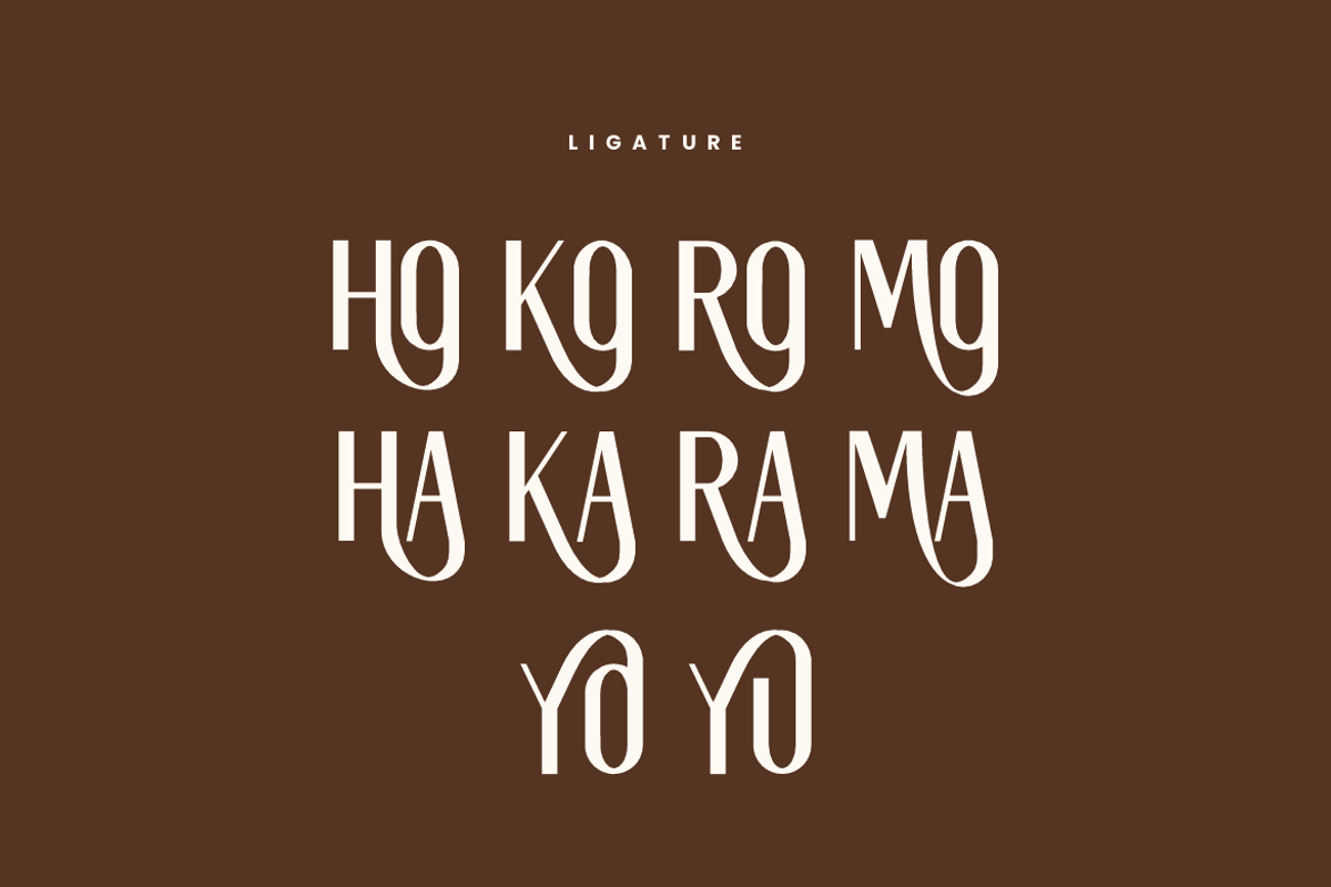 Merakins - Fashion & Elegant Font, a Sans Serif Font by QR Design Studio (Photo 6 of 7)