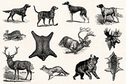 Hunting - Vintage Illustrations, a Sport Illustration by Graphic Goods (Thumbnail 6 of 12)