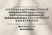 Avocado Sunday - Updated, a Serif Font by Absonstype (Thumbnail 13 of 13)
