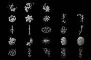 Cyber Coral - Abstract 3D Shapes, an Object Graphic by Dirtybarn (Thumbnail 2 of 7)