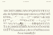 CS Ankia – Elegant Serif Font, a Serif Font by Craft Supply Co. (Thumbnail 8 of 8)