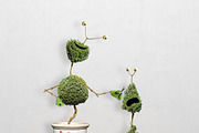 Smarty Planty - Plant life creator, a Product Mockup by envirographic (Thumbnail 19 of 24)