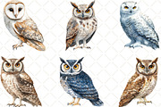 Vintage Owl Clipart, an Illustration by Black Bird Studio (Thumbnail 3 of 6)