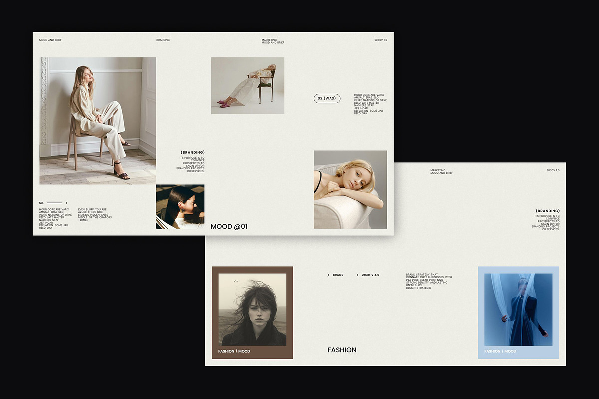 ROZA / Mood and Brief Presentation, a Presentation Template by Pradaxa (Photo 6 of 7)