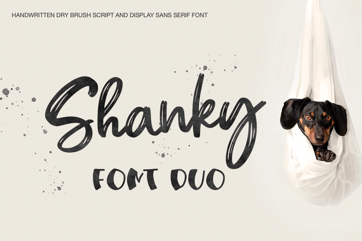 Shanky