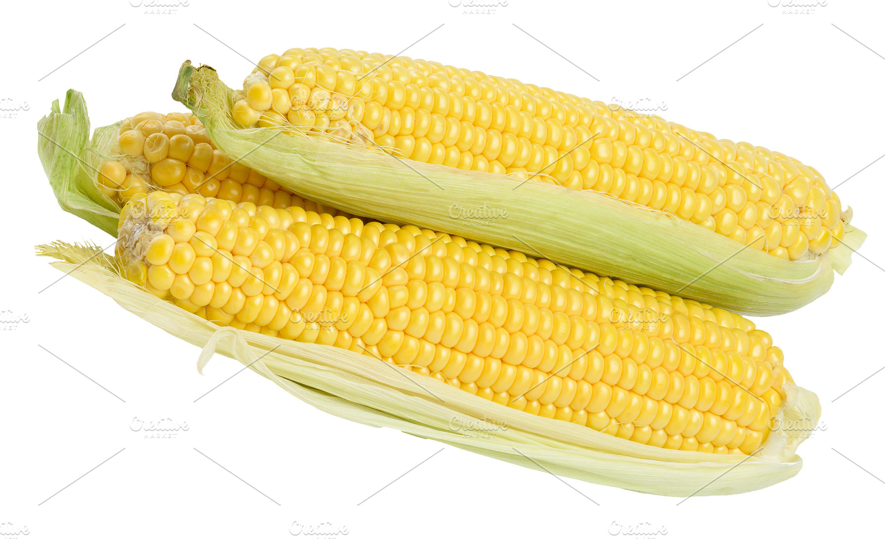 Fresh cobs of ripe corn in green leaves on isolated background., a Food & Drink Photo by ndanko