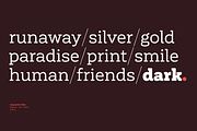 Corporative Slab - Family 50% off, a Slab Serif Font by Latinotype (Thumbnail 13 of 15)