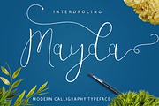 BIG BUNDLE FON SCRIPT, a Font by Jhoen (Thumbnail 14 of 19)