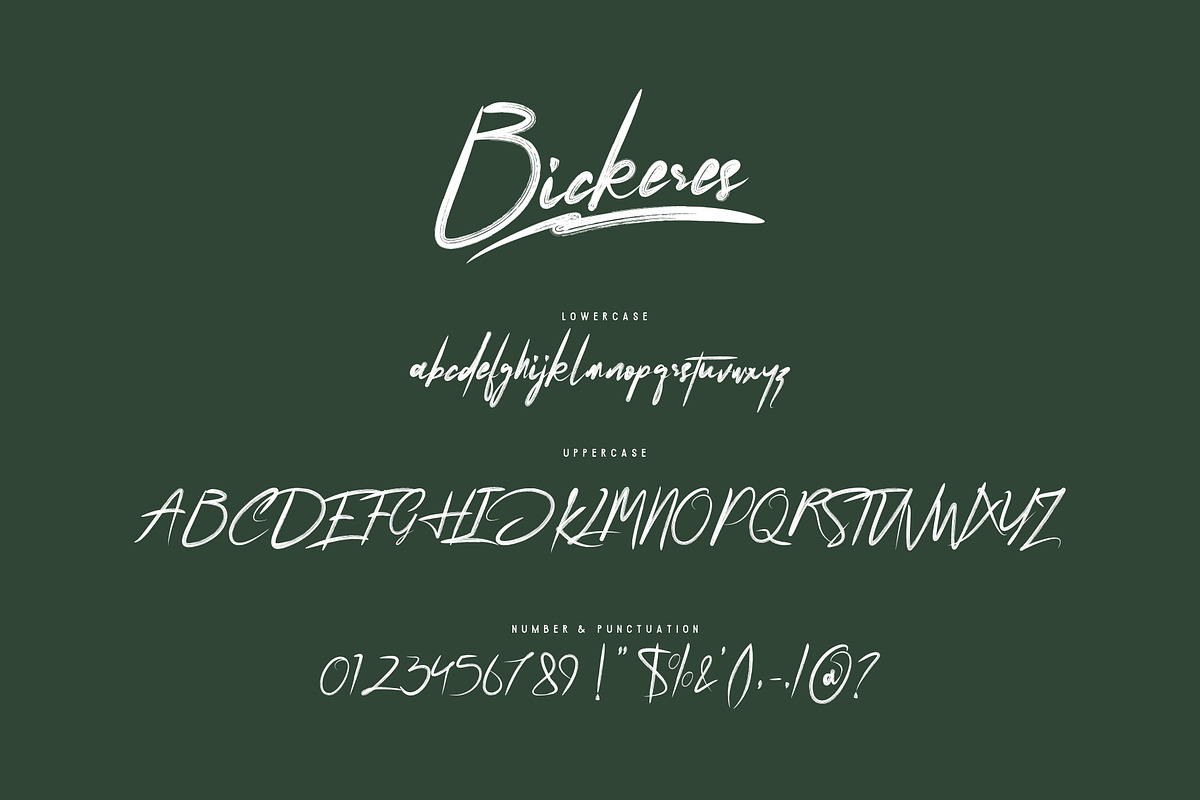 Bickeres Brush Font preview 7