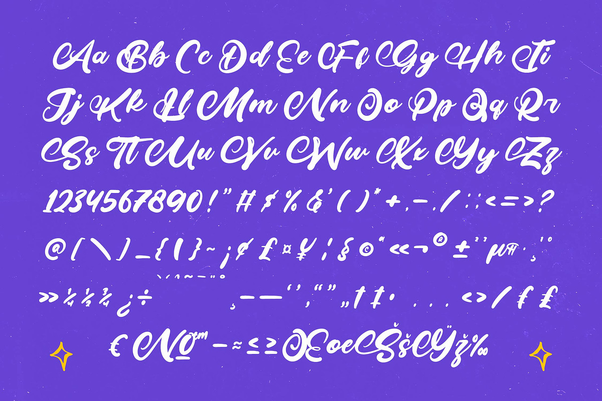 Tarkeni - Bold Calligraphy Font, a Script Font by Letterena Studios Script (Photo 19 of 20)
