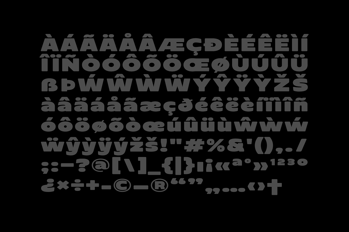 Kitora - Bold Font, a Sans Serif Font by limitype (Photo 10 of 11)