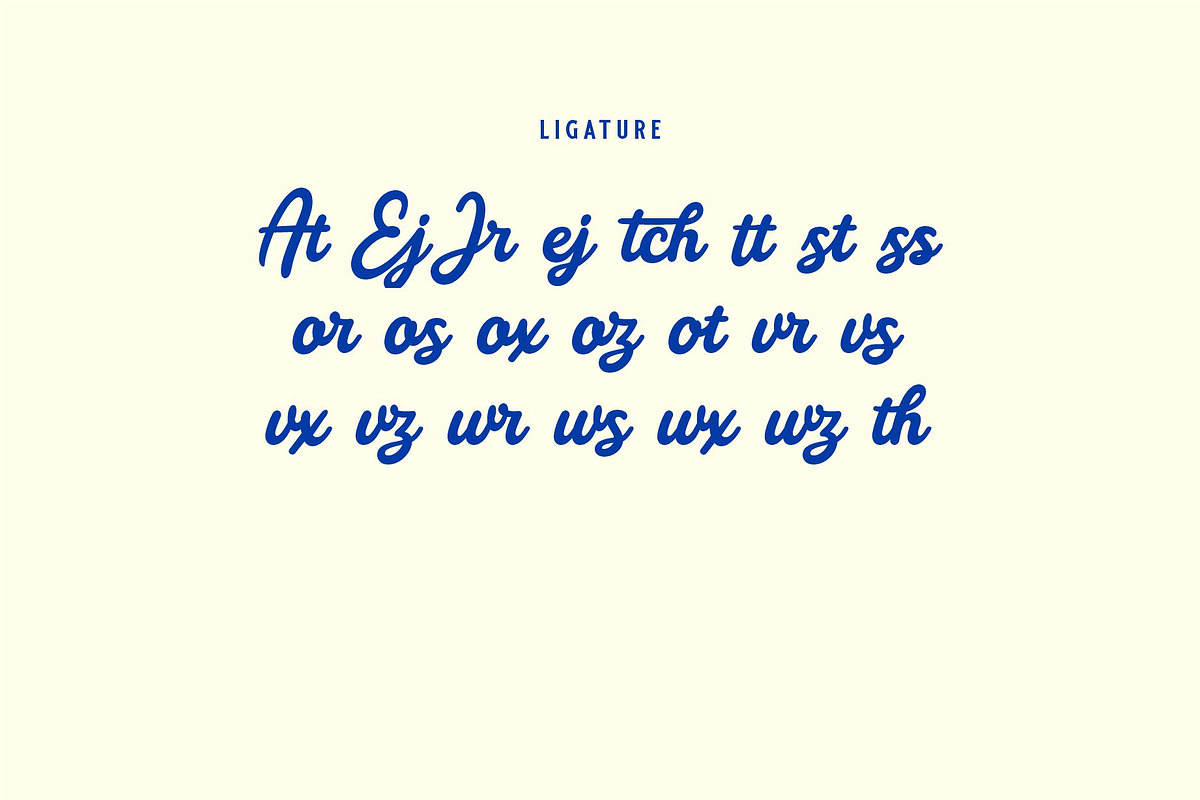 REYAL BEACH | BOLD SCRIPT, a Script Font by Havinkpen (Photo 13 of 14)