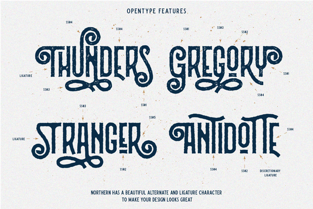 Northern Vintage Monoline Script preview 6