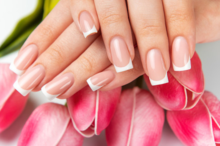 Woman showing french manicure and pink tulips on white backgroun