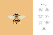 Bee Creator: 100 Procreate Brushes, a Brush Add-On by Pencil Twist (Thumbnail 3 of 11)