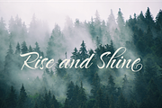 Nolly Oly Wedding Calligraphy Script, a Script Font by Creative Foundry (Thumbnail 5 of 8)