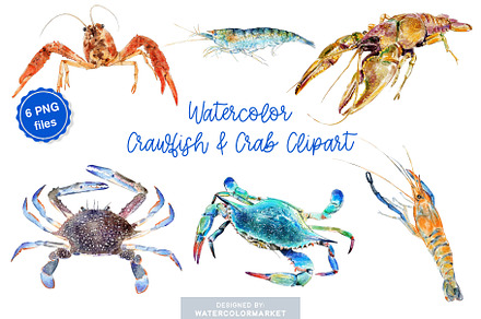 Watercolor Crab, Crawfish, Shrimp