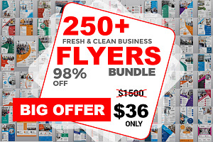 250+ Flyers Bundle 98% OFF