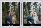 EVERGREEN CLEAN LIGHTROOM PRESETS, an Action Add-On by Nes Design Co (Thumbnail 8 of 10)
