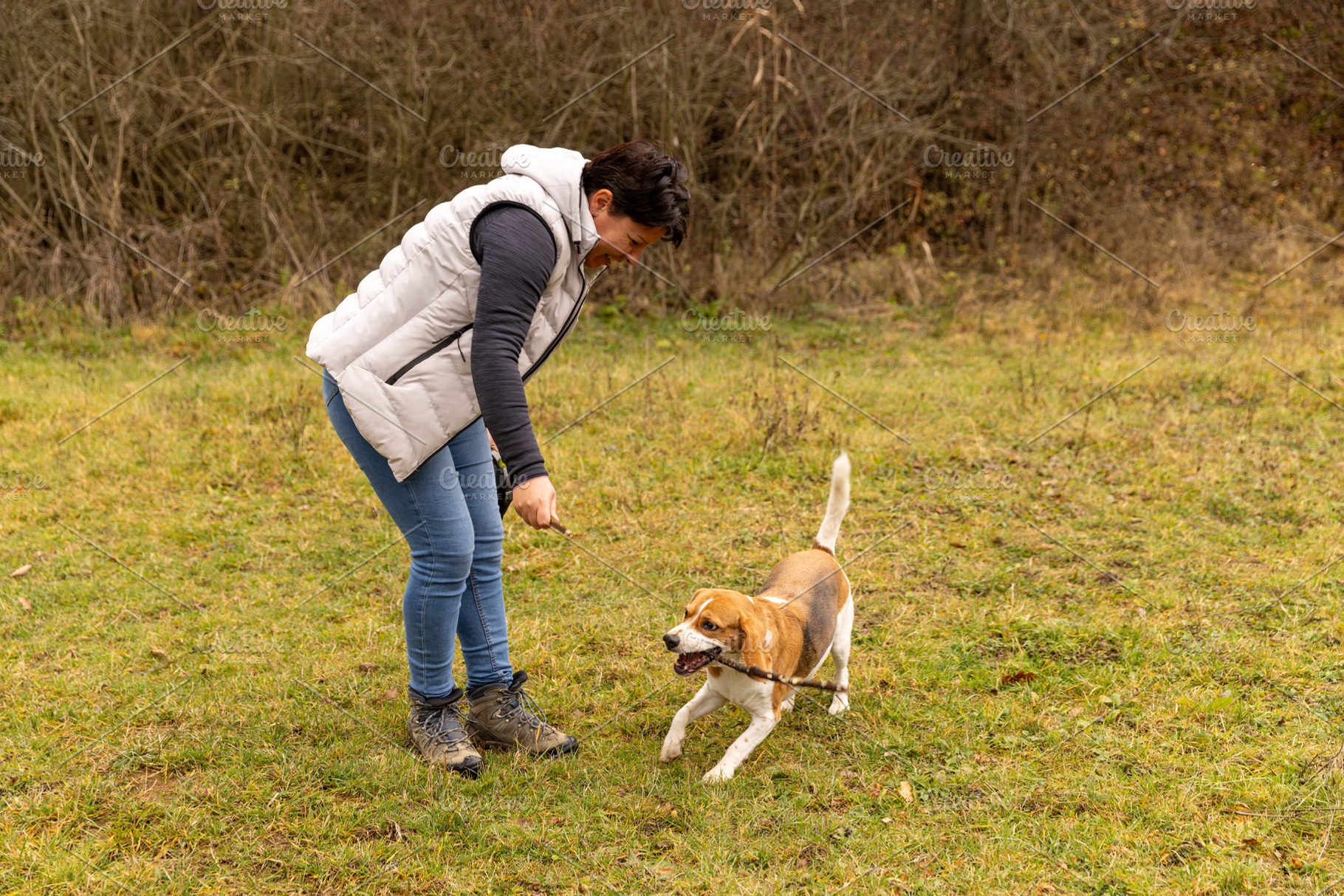 Woman playing fetch with beagle dog, a Photo by Grafvision photography
