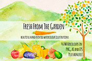 Fruit and Vegetable Watercolor Kit, a Food Illustration by Violet LeBeaux (Thumbnail 2 of 5)