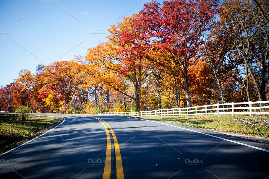 Fall Foliage Featuring Fall Autumn And Colors