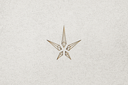 Minimalist Crystal Star Logo, a Branding & Logo Template by Luxury Logos (Thumbnail 4 of 4)