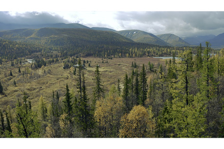 Aerial view of a beautiful river and, a Nature Photo by Media Whale Stock