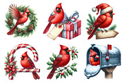 Red Cardinal Christmas Clipart, an Illustration by Daily.Designs (Thumbnail 3 of 3)