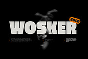 Wosker - Bold Font, a Sans Serif Font by limitype (Thumbnail 1 of 10)