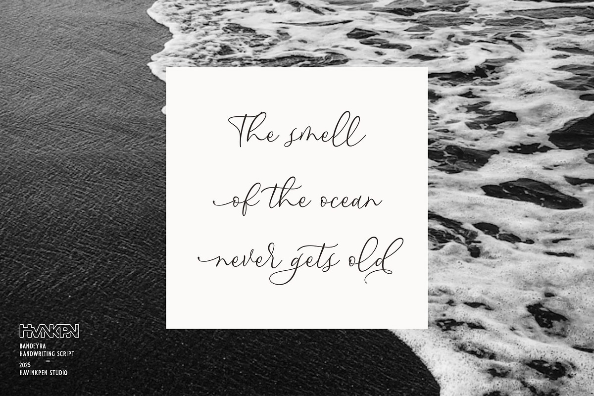 BANDEYRA | Handwriting Script, a Handwritten Font by Havinkpen (Photo 4 of 7)