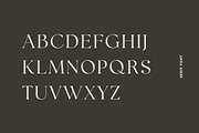 Polluxie Feminine Serif Font, a Serif Font by UICreative (Thumbnail 6 of 12)