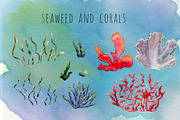 Sea watercolor adventures, an Animal Illustration by Funny-sunny (Thumbnail 10 of 16)