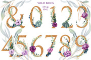 Wild Birds, an Illustration by Salted Galaxy (Thumbnail 7 of 17)